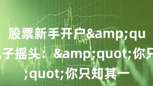 股票新手开户&quot;玄机子摇头：&quot;你只知其一
