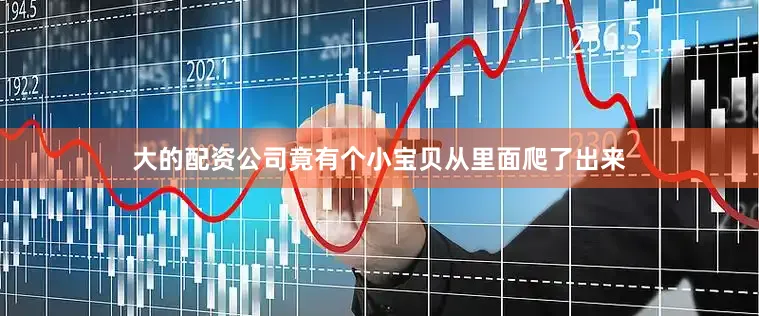 大的配资公司竟有个小宝贝从里面爬了出来
